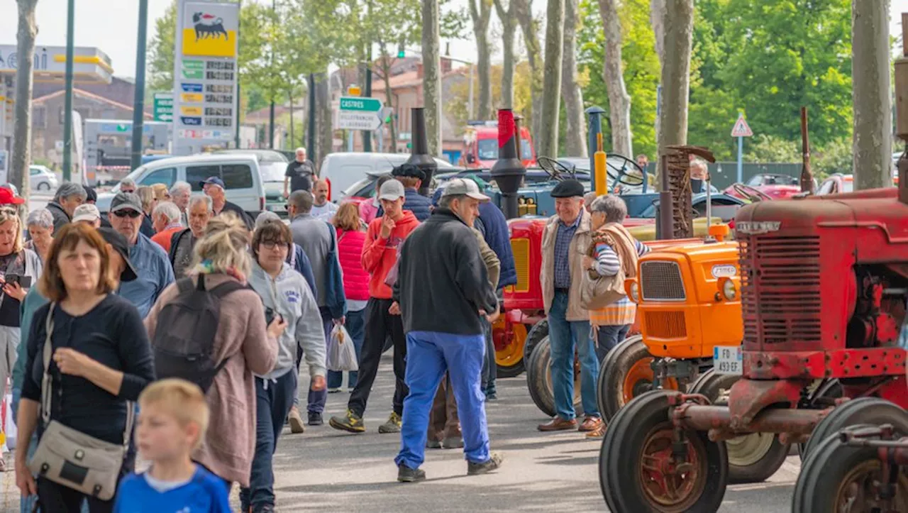 Lavaur : un championnat du Tarn de la côte de bœuf le 5 mai