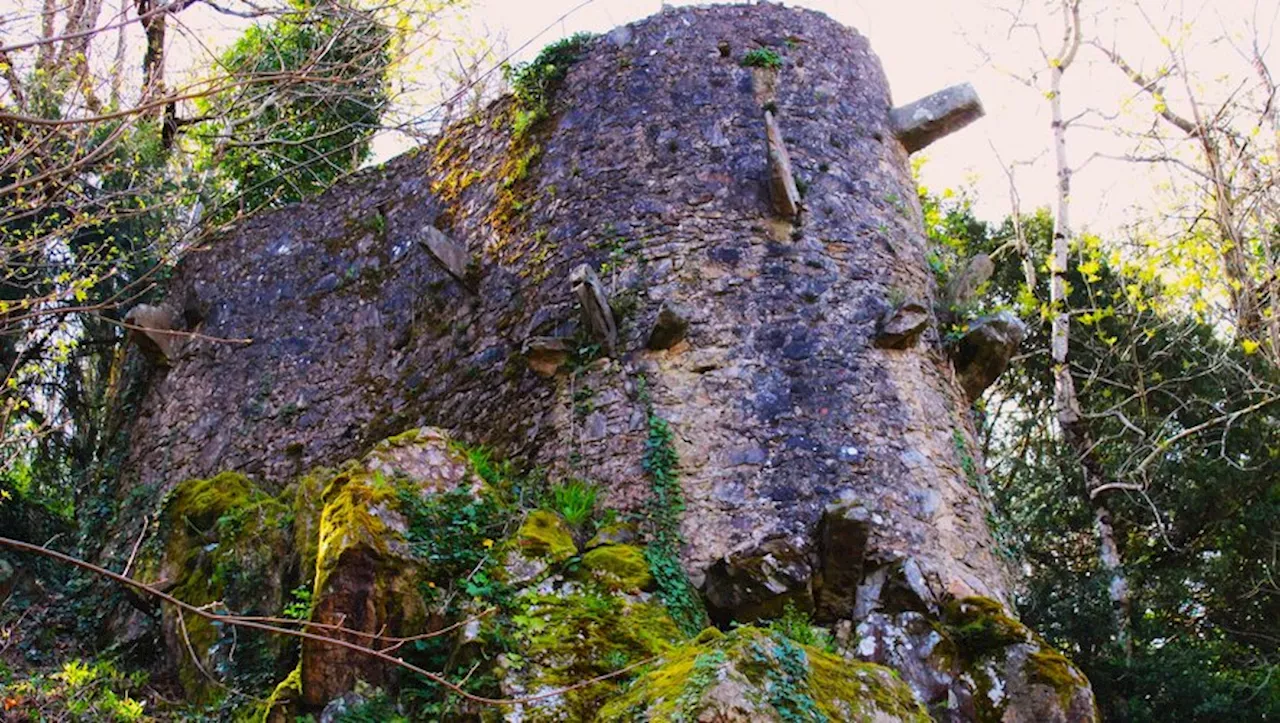 Mazamet : quand les Jardins Cormouls-Houlès révèlent leurs secrets