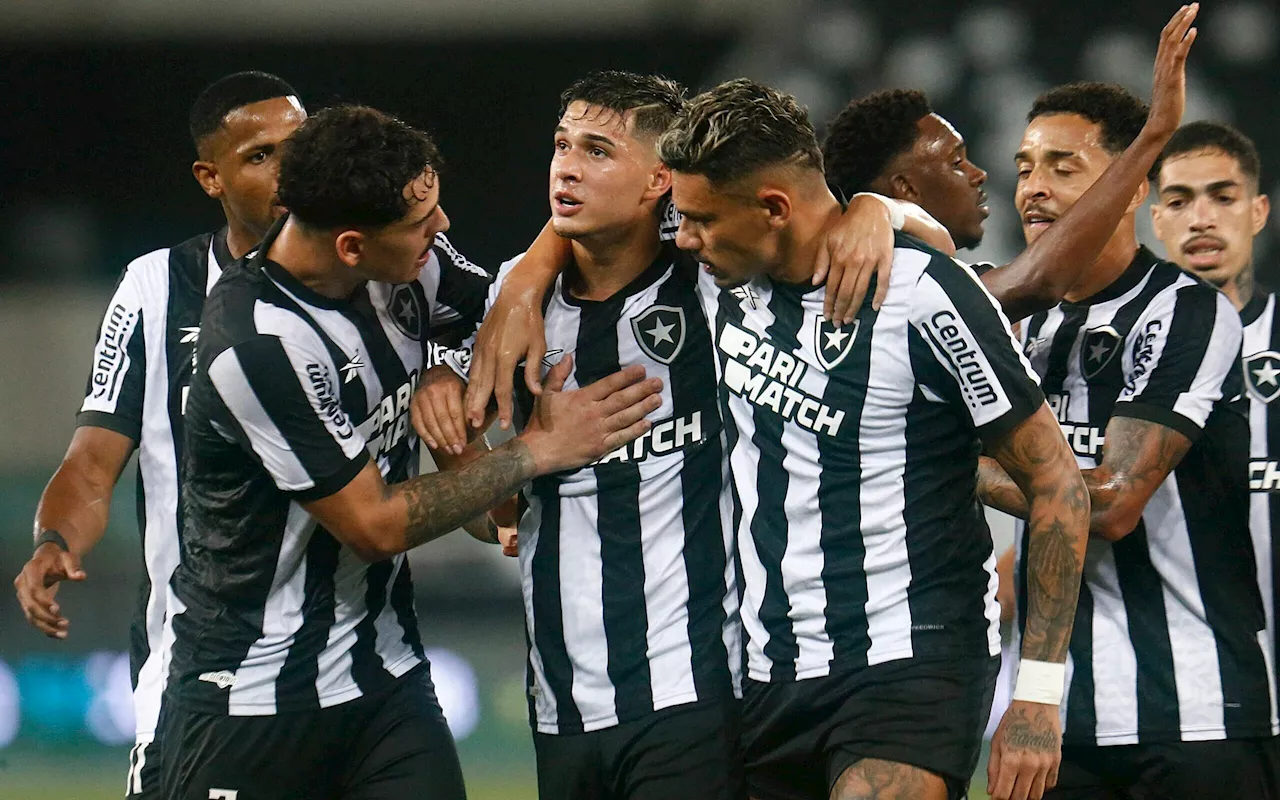 Botafogo vence no Brasileirão depois de 184 dias mas atuação não convence