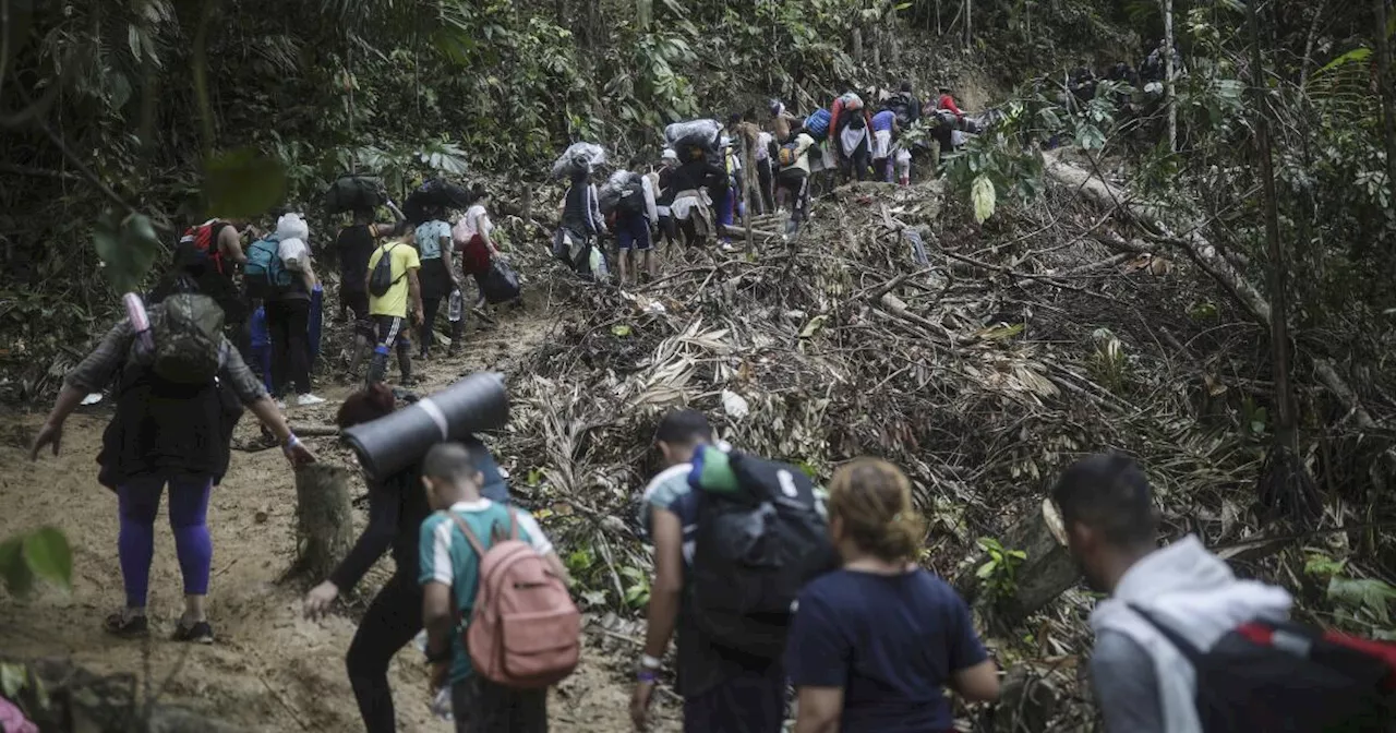 Médicos Sin Fronteras denuncia aumento de la violencia contra migrantes en Centroamérica y México