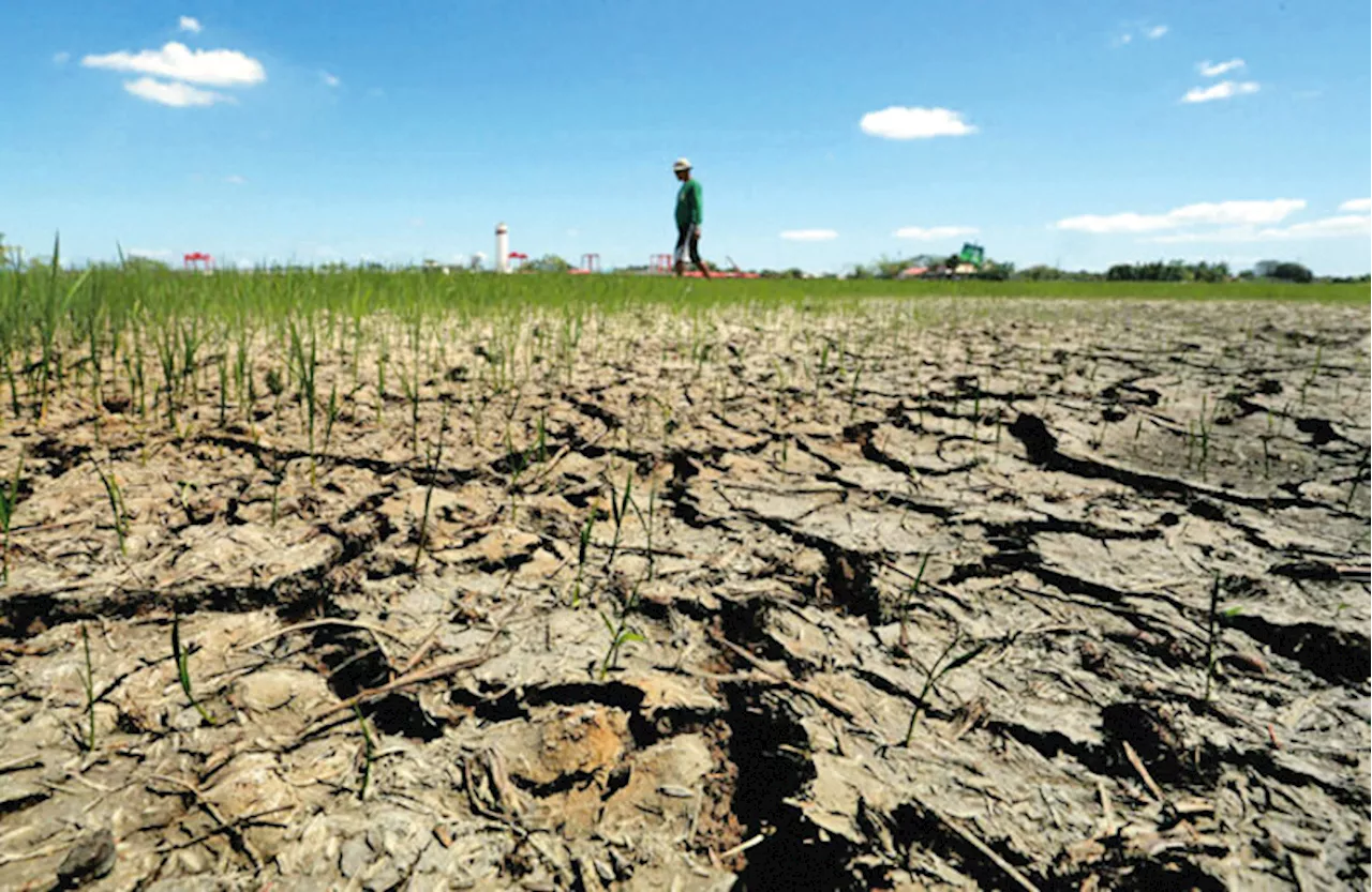 2 Negros Occ. LGU under state of calamity