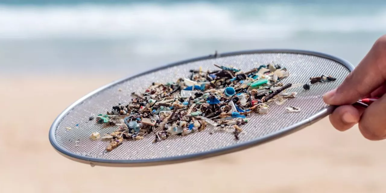 Lösung für Mikroplastik an Genfer Erfindermesse prämiert