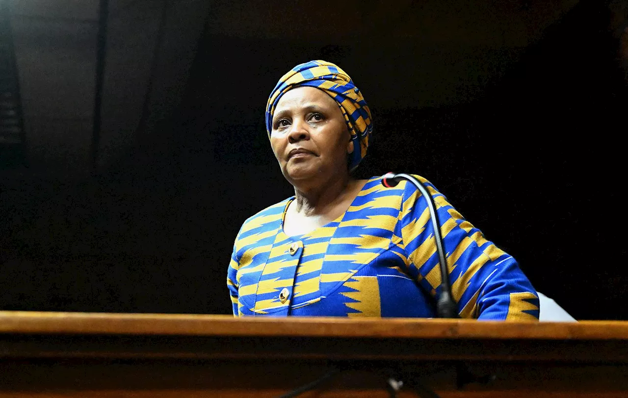 Defence dept confirms Mapisa-Nqakula's request for state funding of her corruption trial