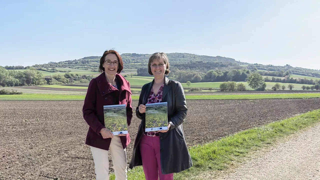 Leitzersdorf: Der Waschberg zum Nachlesen