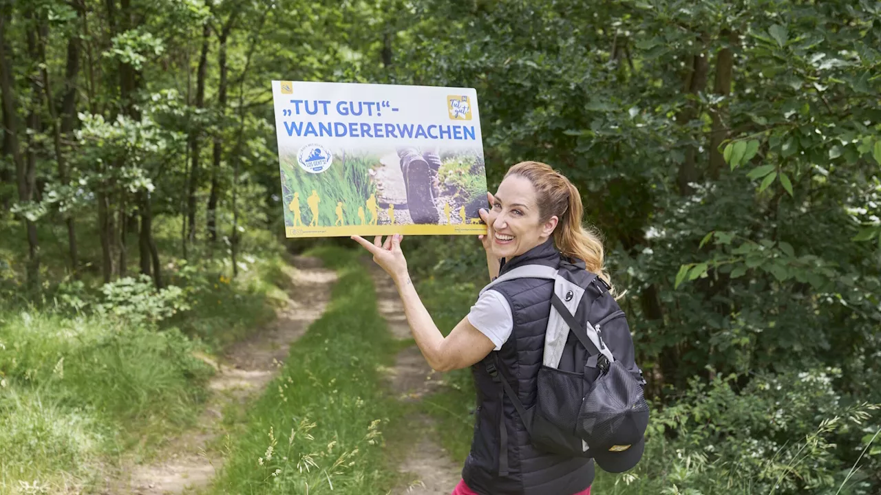 Wo das Wandern im Bezirk Baden erwacht