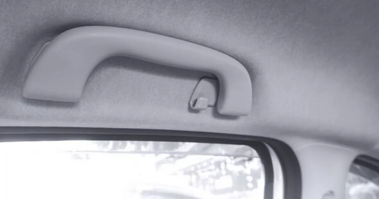 Drivers only just discovering what grab handles above car doors are for