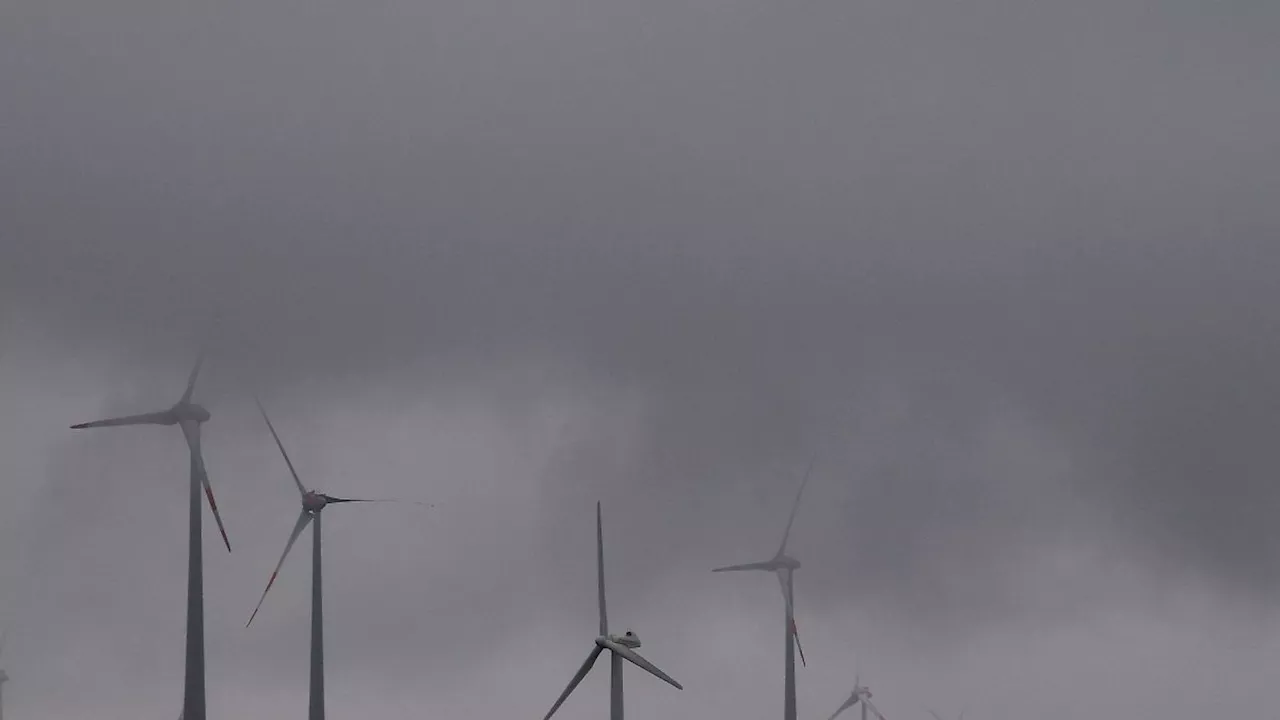 Mecklenburg-Vorpommern: Regenschauer und vereinzelt Gewitter zum Ende der Woche