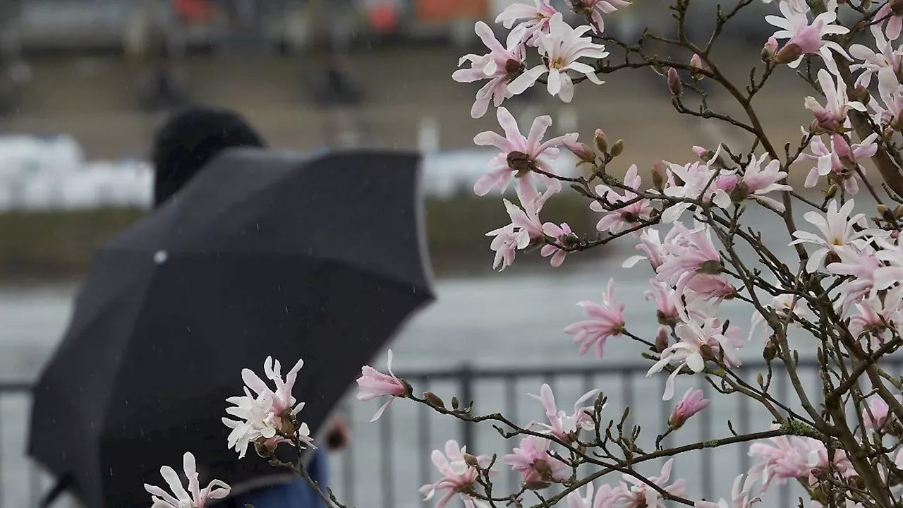 Rheinland-Pfalz & Saarland: Regen und teils Gewitter in Rheinland-Pfalz und dem Saarland