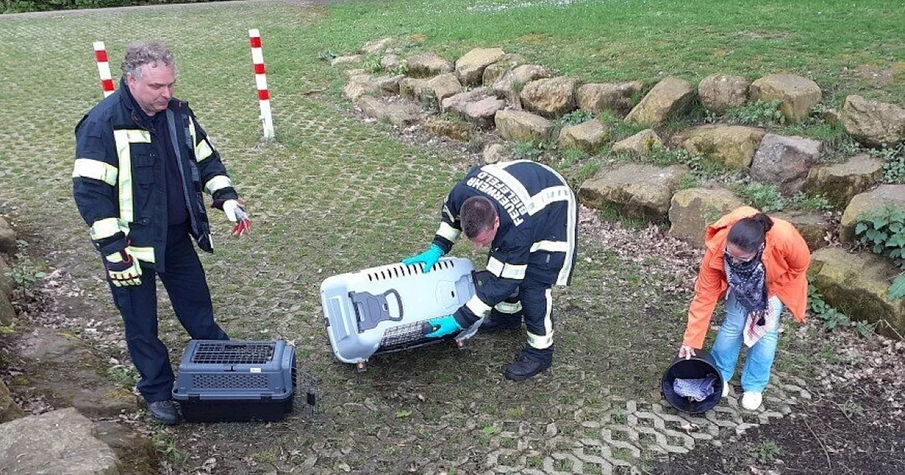 Rettungsaktion der Bielefelder Feuerwehr auf der Herforder Straße