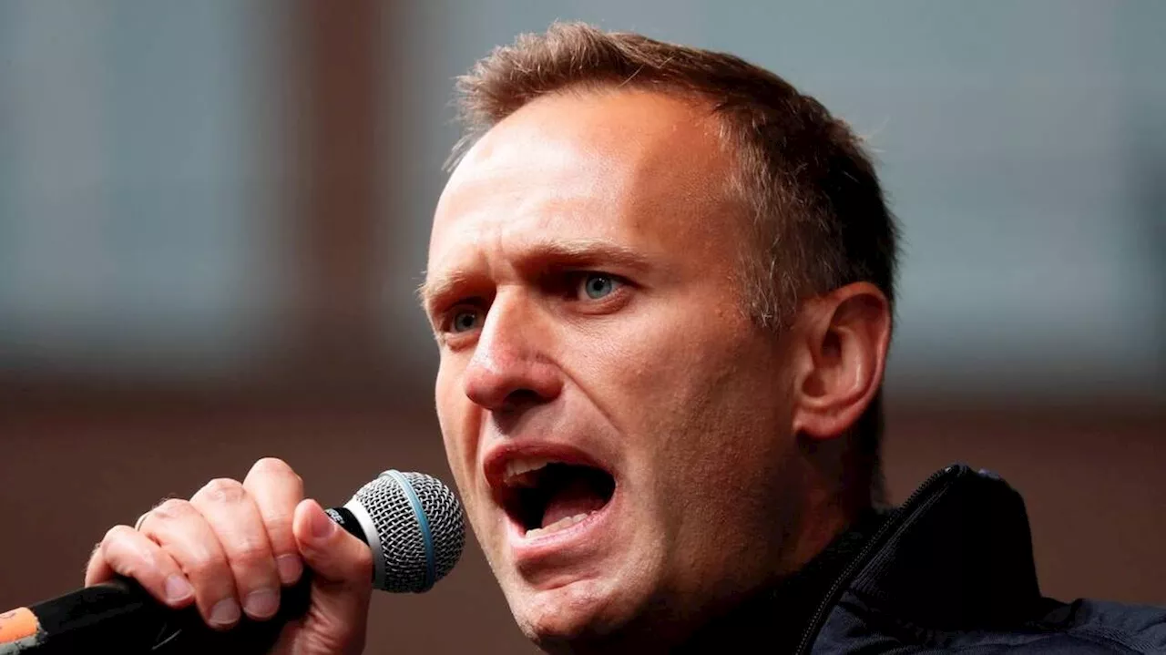 Agression d’un proche de Navalny en Lituanie : arrestation du commanditaire biélorusse