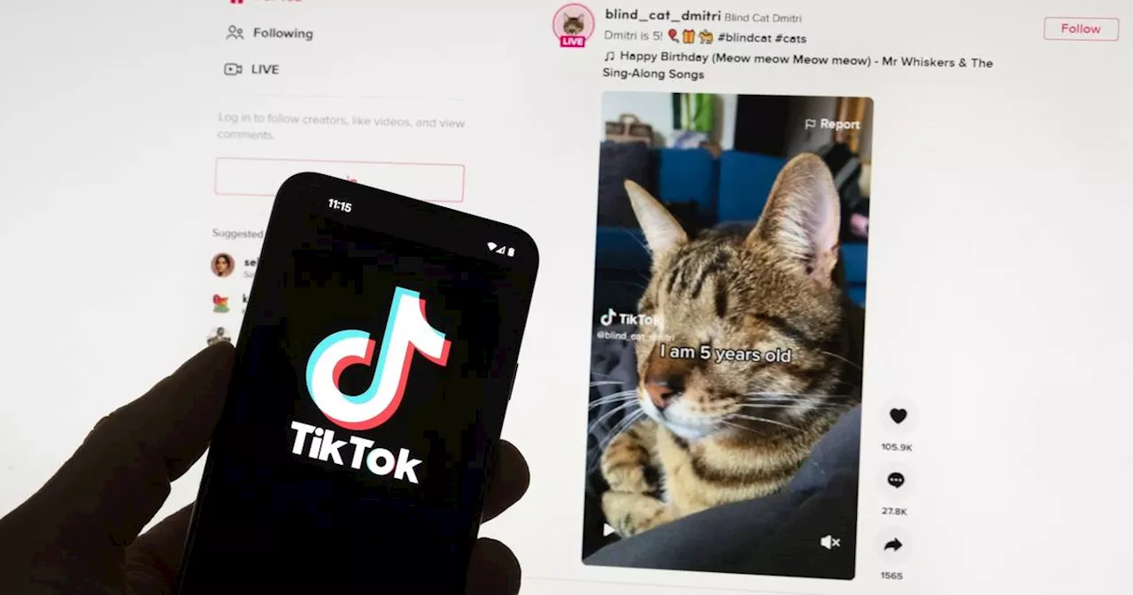 US-Repräsentantenhaus: neuer Anlauf für mögliches Tiktok-Verbot​