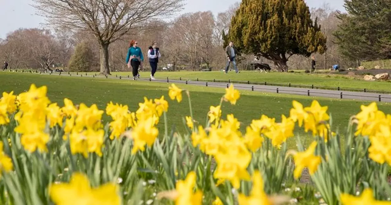 Met Eireann confirms plenty of sunshine and 18C before big change next week