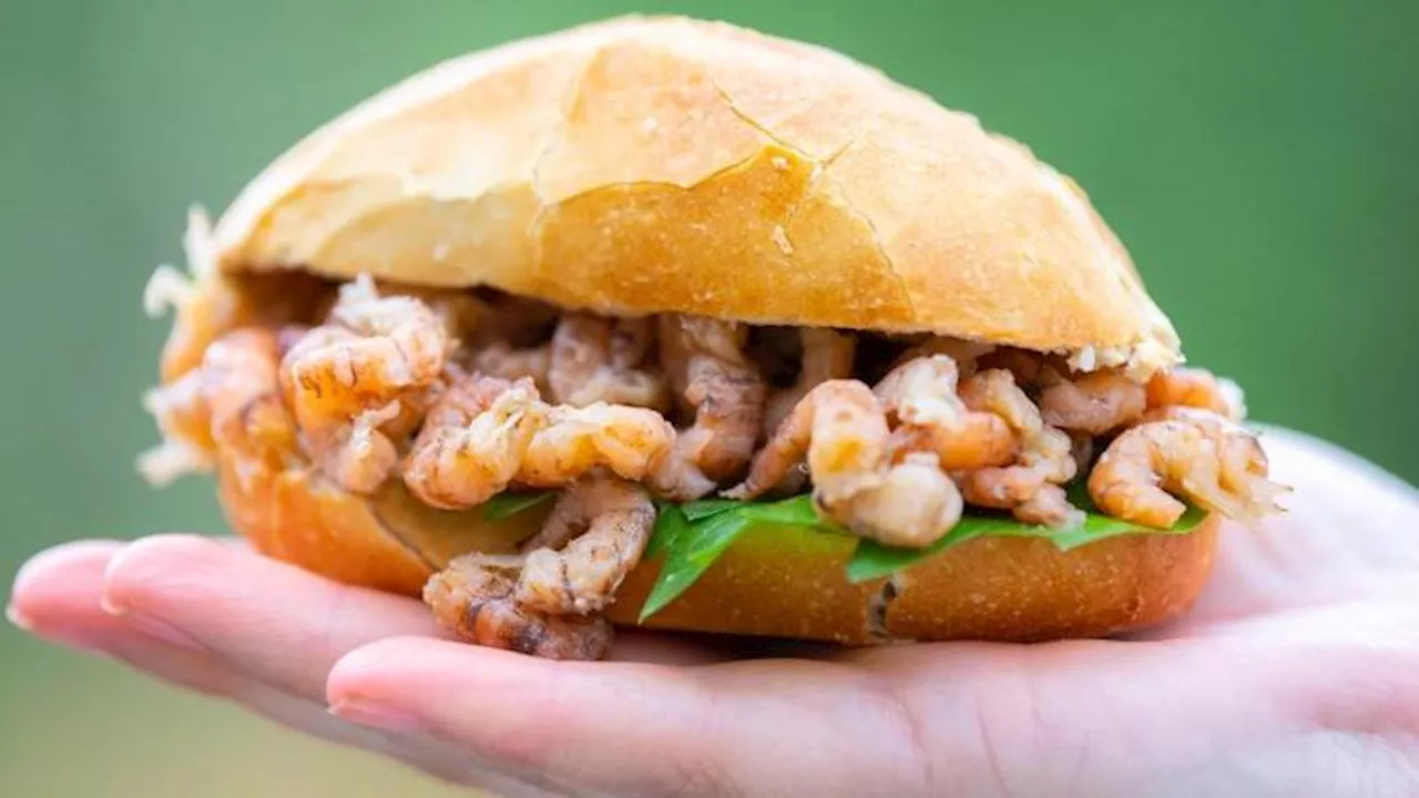 Krabbenbrötchen: Preisexplosion bei beliebtem Nordsee-Touri-Snack!