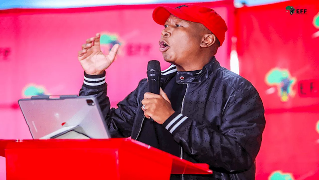 IEC appealing Zuma judgment is personal: Malema - SABC News - Breaking news, special reports, world,