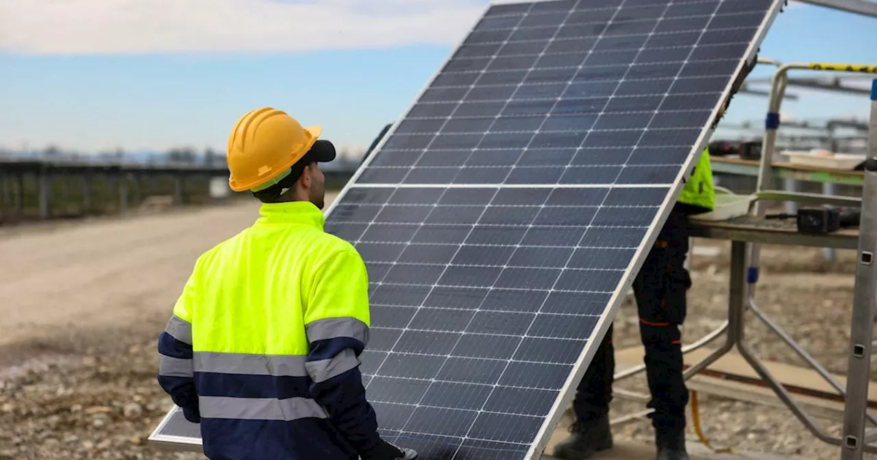 Column-Plunging solar capture rates to test nerve of Europe's policymakers: Maguire