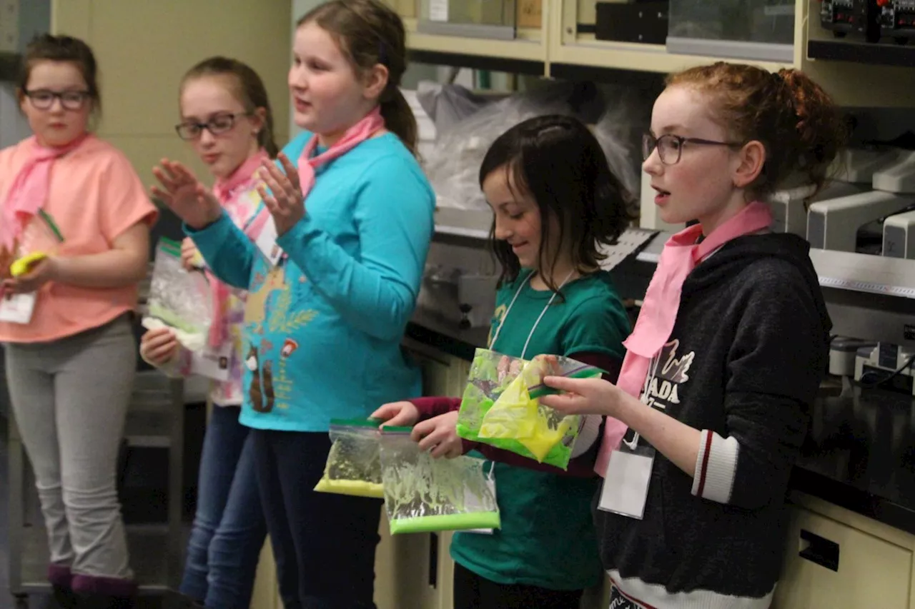 Jobs of the Future: WISE Olympics inspires girls to pursue science