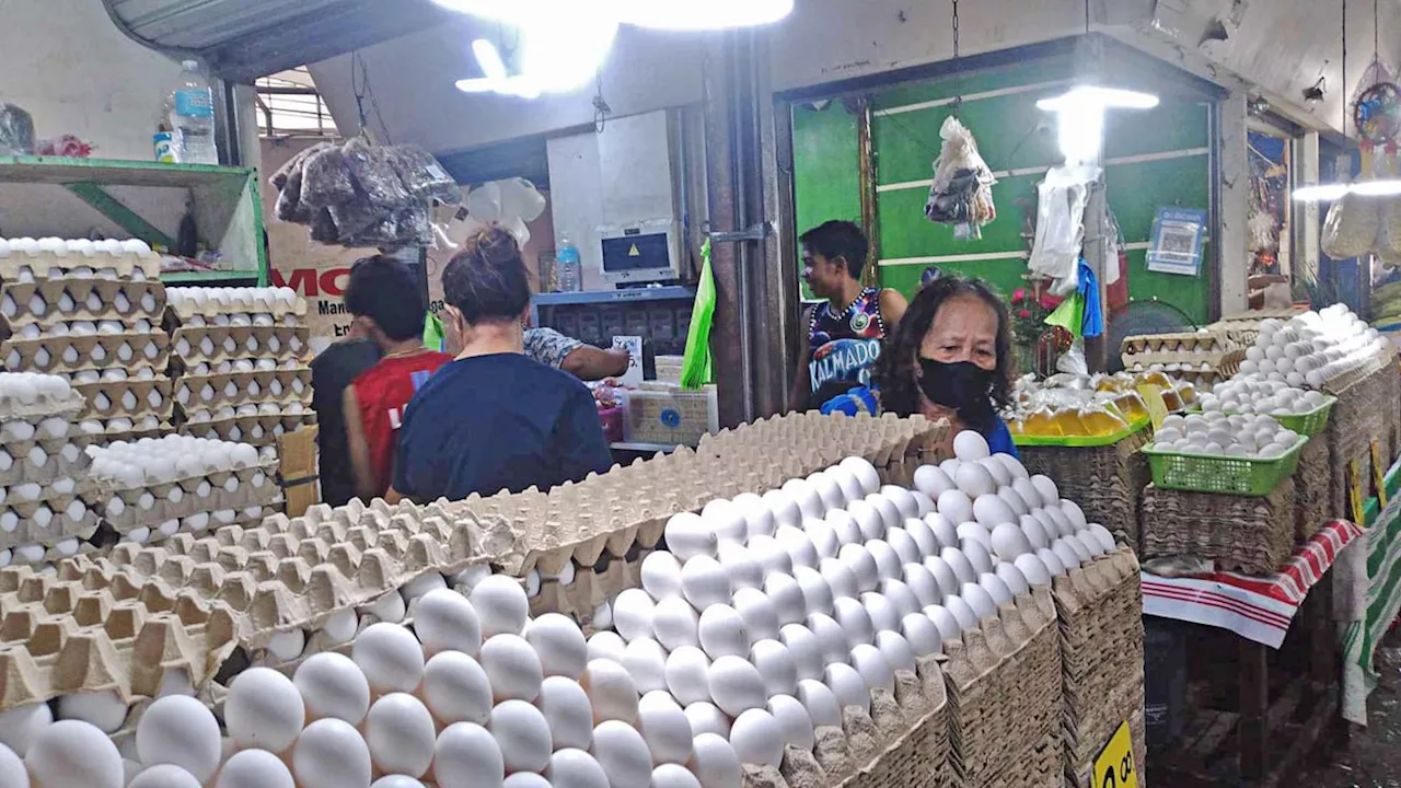 DA 7 urges poultry care as El Niño impacts egg sizes