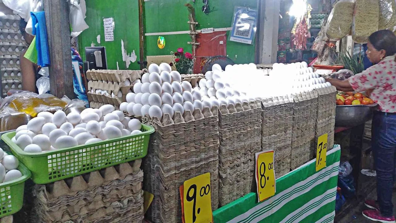 El Niño nakaapekto sa poultry farming