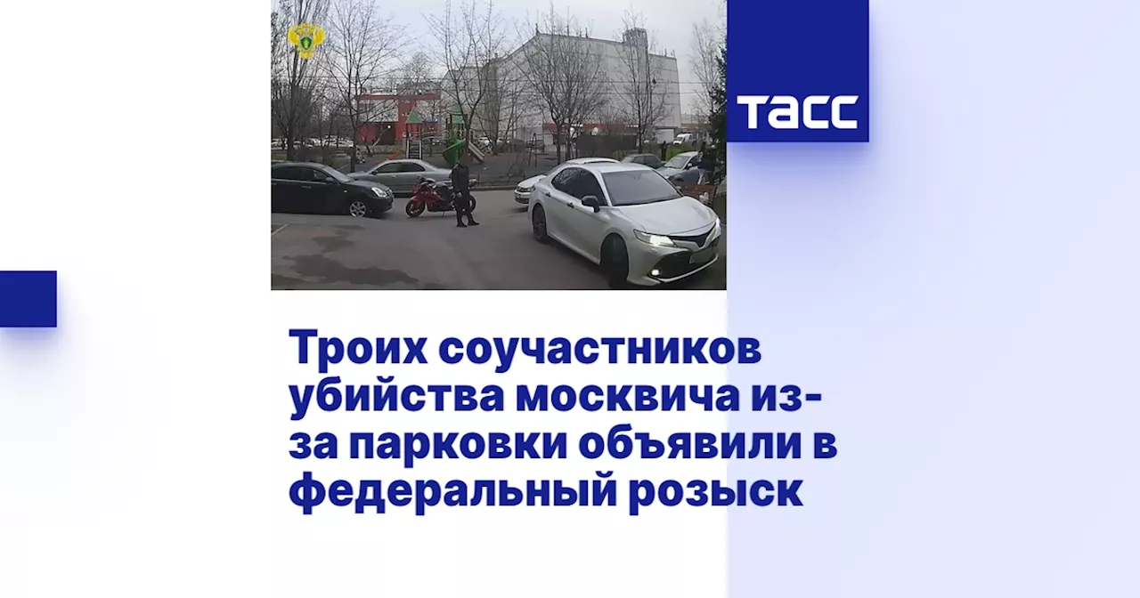 Троих соучастников убийства москвича из-за парковки объявили в федеральный розыск