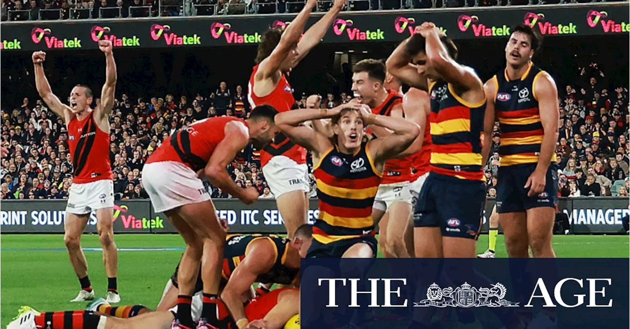 Crows won’t bite on costly non-call against Bombers