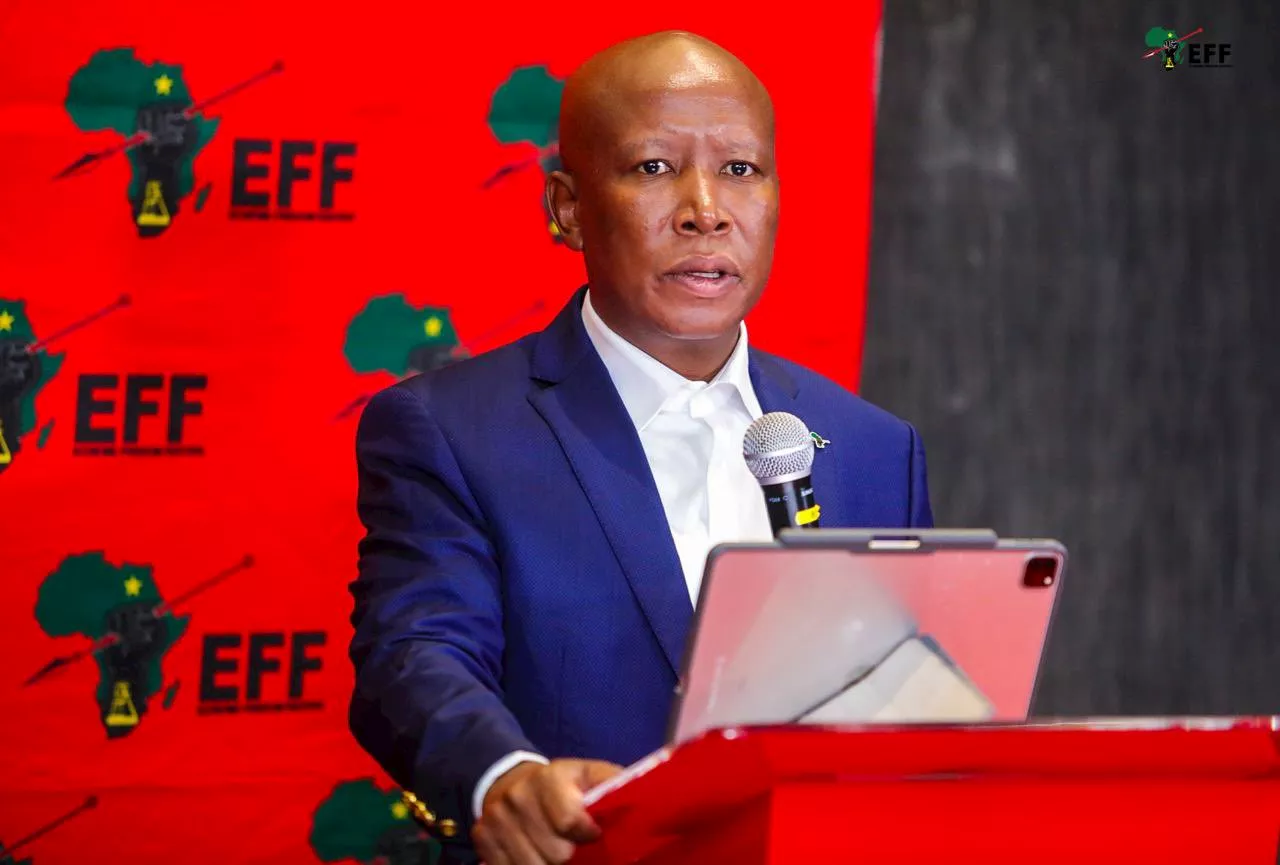 EFF is open to coalitions after elections says Julius Malema