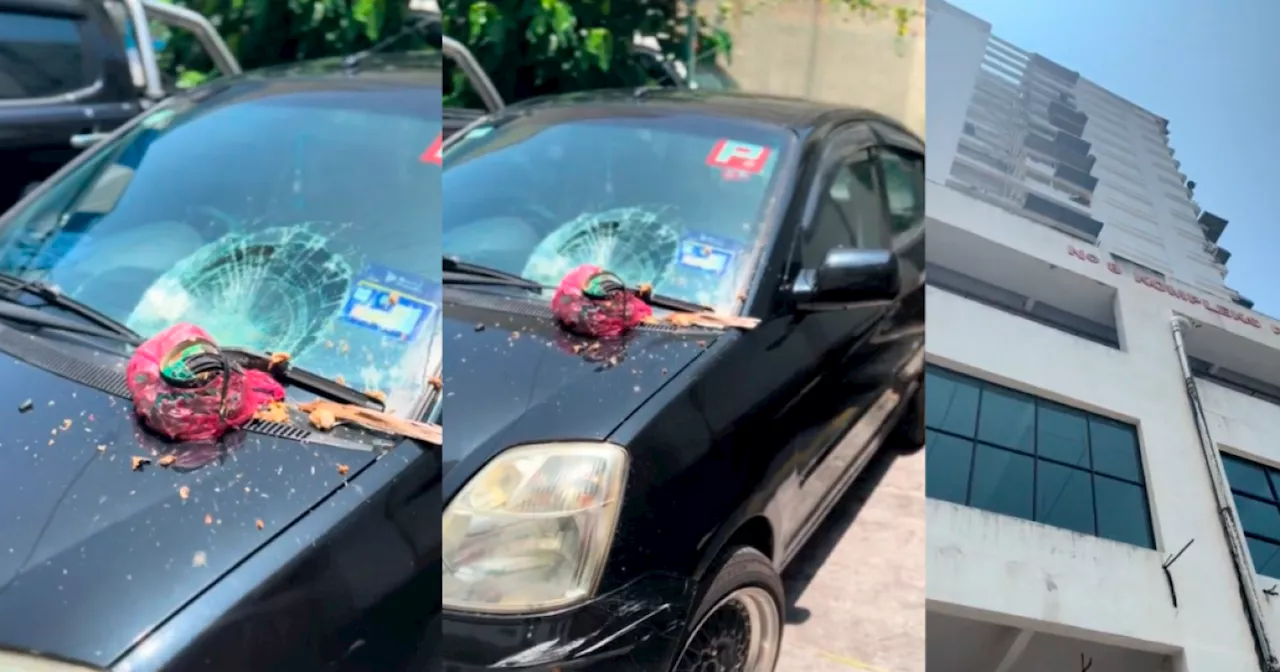 Careless rubbish disposal sparks outrage in Penang