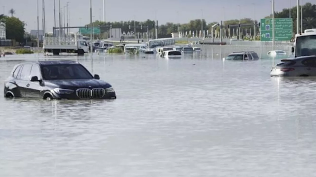 Viral Video Detik-detik Seekor Kucing Diselamatkan di Tengah Banjir Melanda Dubai