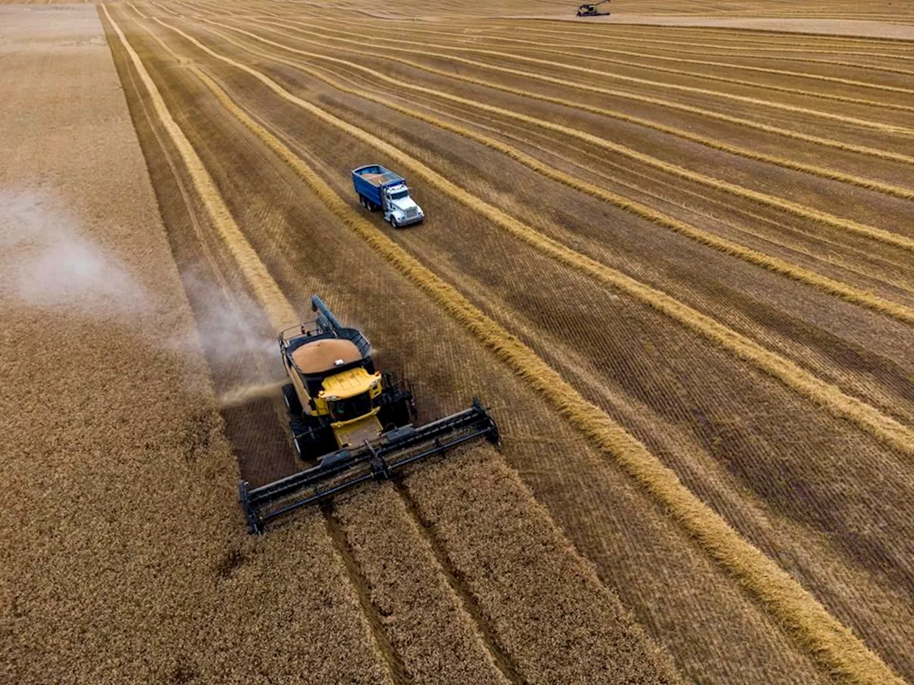 Major water users in southern Alberta agree to curb consumption in face of drought