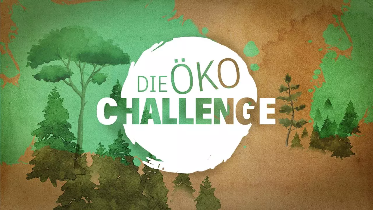 Die Öko-Challenge: Geht nachhaltig auch günstig?