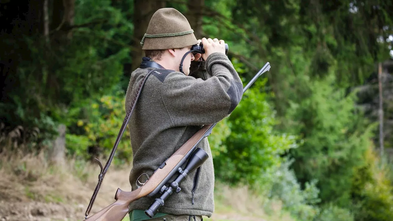 SVP will Schalldämpfer und Nachtzielgerät für die Jagd zulassen