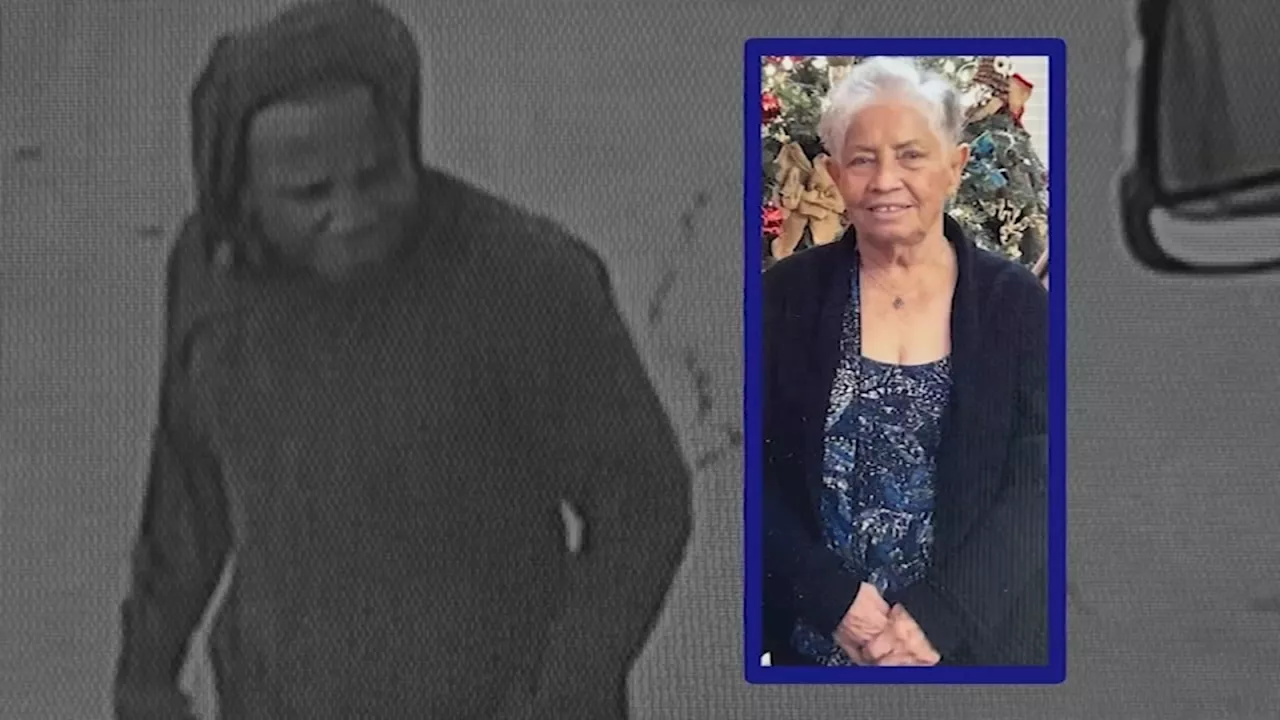 Man accused of violently carjacking 83-year-old woman arrested after ...