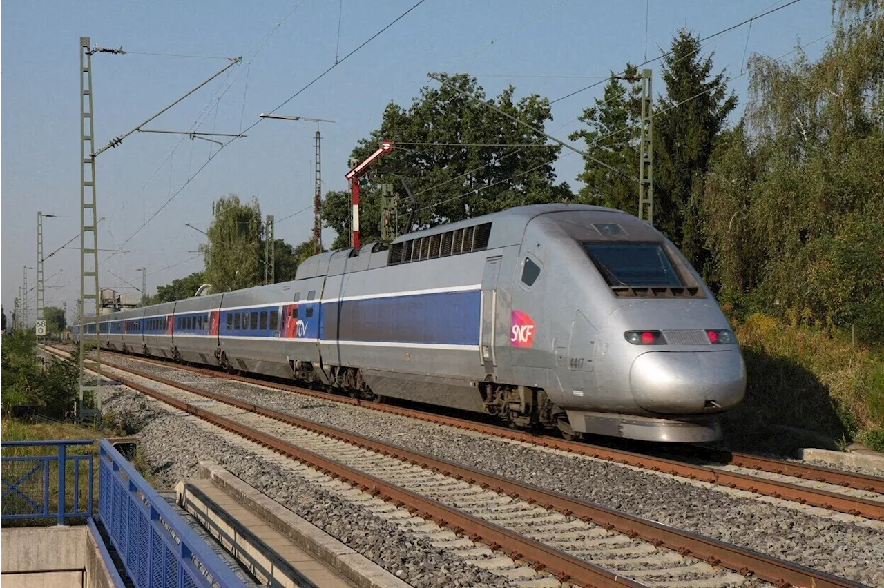 Seine-et-Marne : la circulation des TGV interrompue après un grave accident