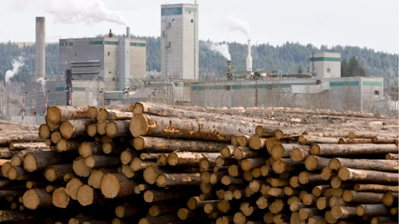 West Fraser and Mercer International dissolve joint venture in Cariboo Pulp and Paper