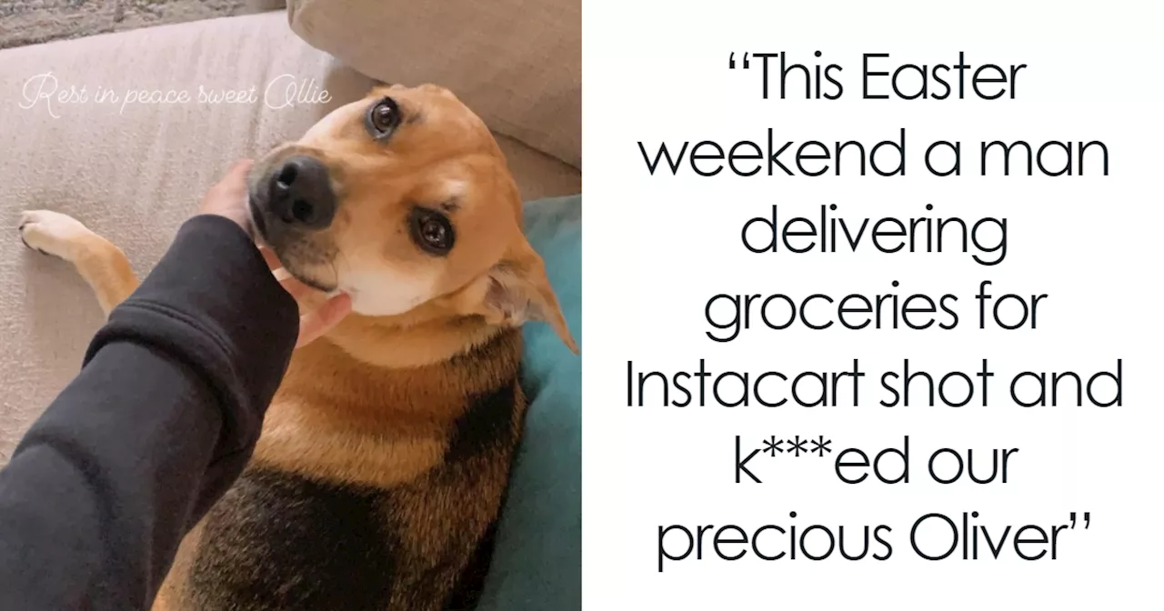 Actress Angie Harmon's Dog Shot and Killed by InstaCart Delivery Man