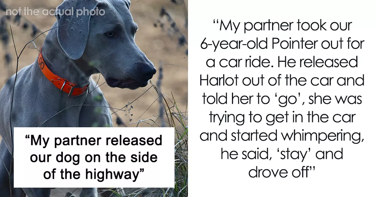 Woman's Dog Goes Missing, Discovers Father of Her Child Abandoned It