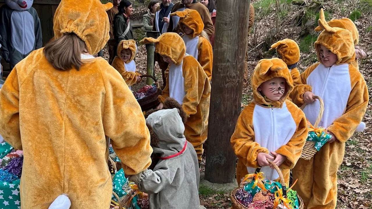 Osterhasenaktion in Kulmbach: Tradition und Engagement