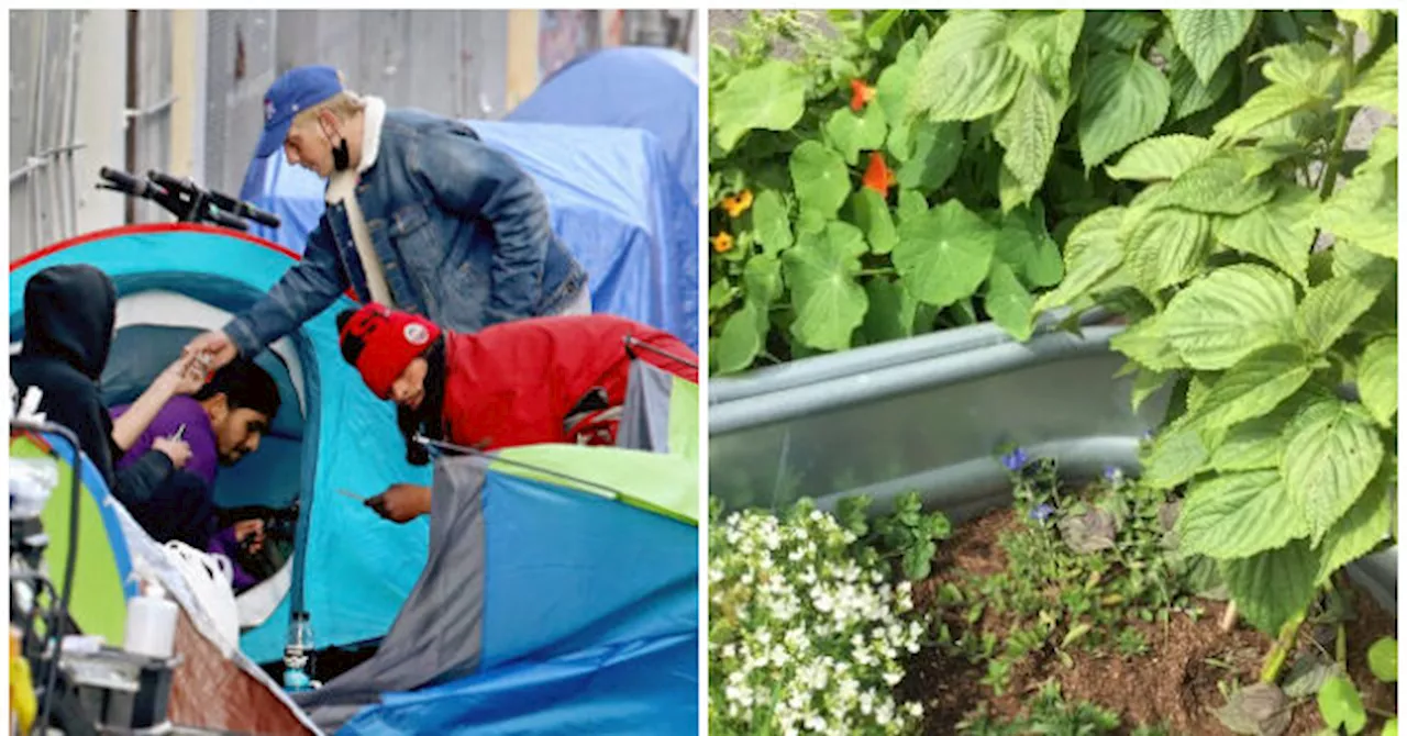 Residents of Democrat-Run City Use Heavy Planters to Deter Homeless