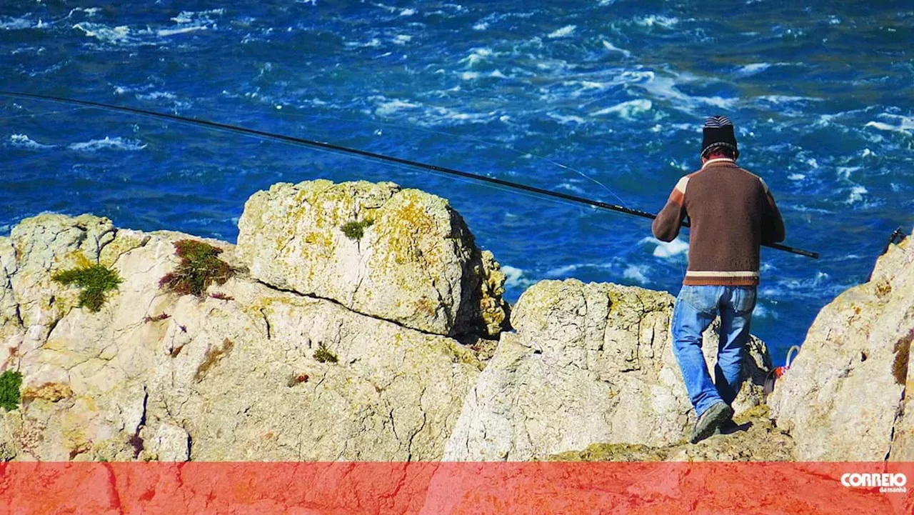 PS Açores insiste na necessidade de solução para escoamento de pescado no grupo Ocidental