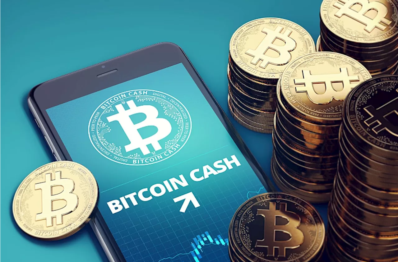 BCH Price Surges Ahead of Bitcoin Halving as InQubeta Nears $13 Million Raised in Crypto Presale