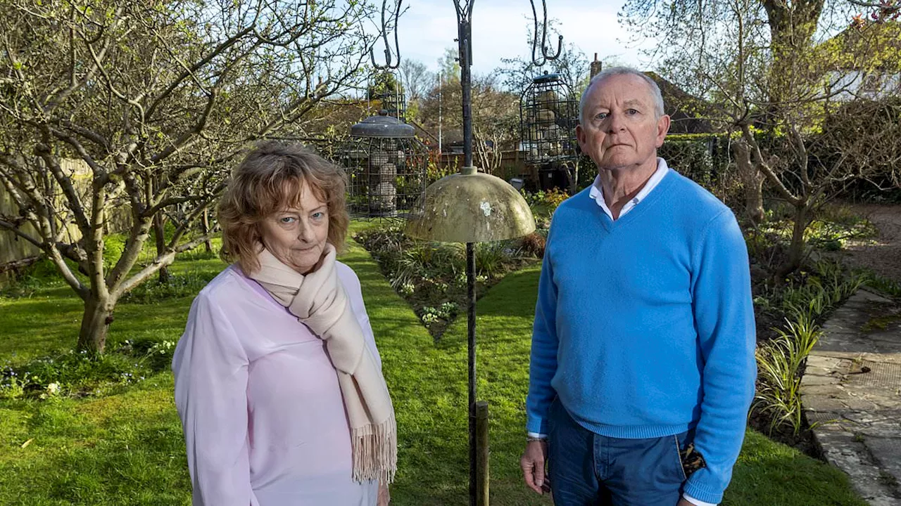 Garden wars in suburbia: Couple who feed seagulls, foxes and wildlife in their re-wilded garden...