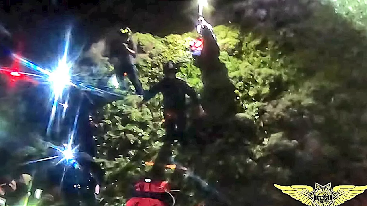 Man Rescued After Falling 120 Feet Down Cliff