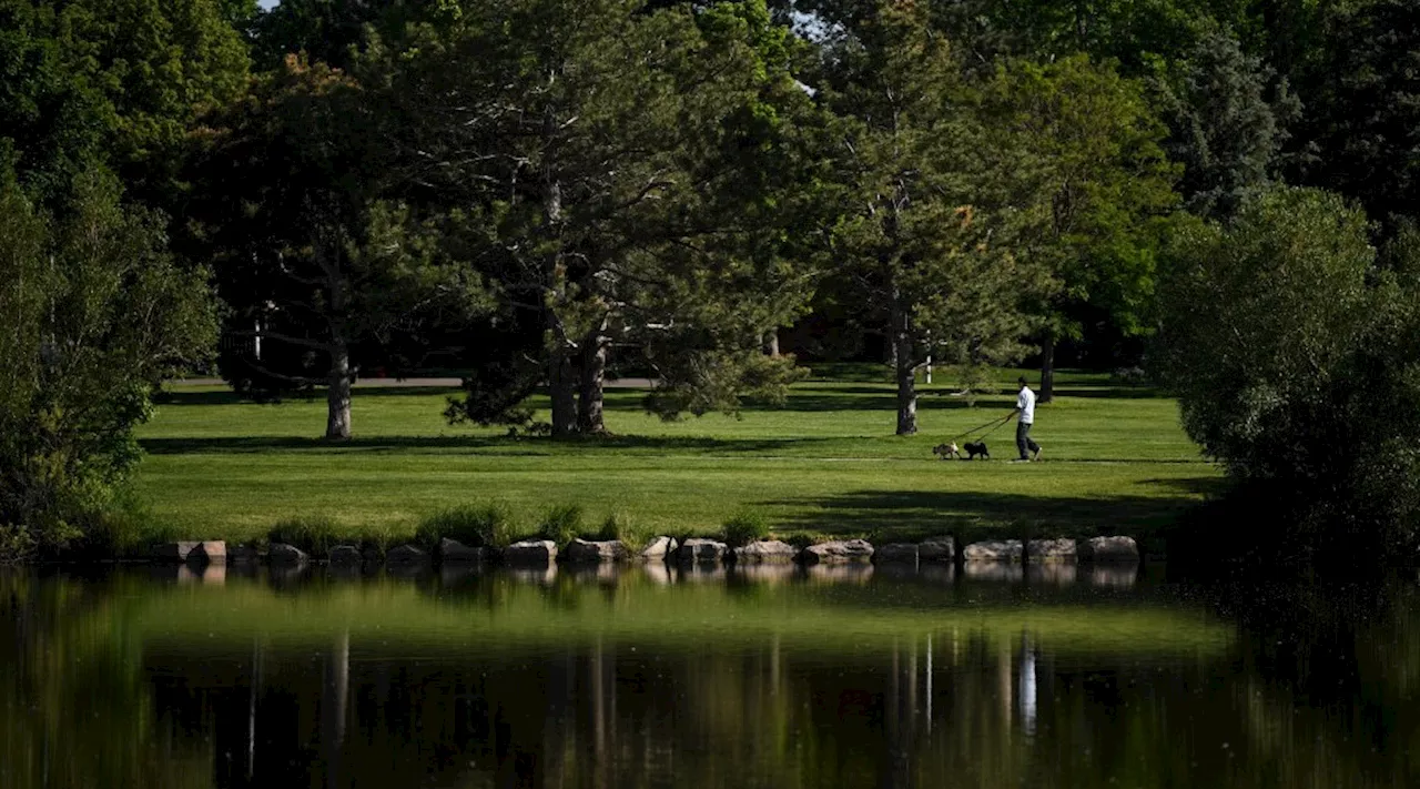 Clear Skies and Windy Conditions Expected in Denver