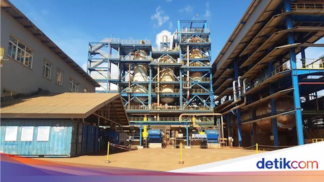 Harita Nickel Cetak Untung Rp 5,62 T di 2023, Naik 20%