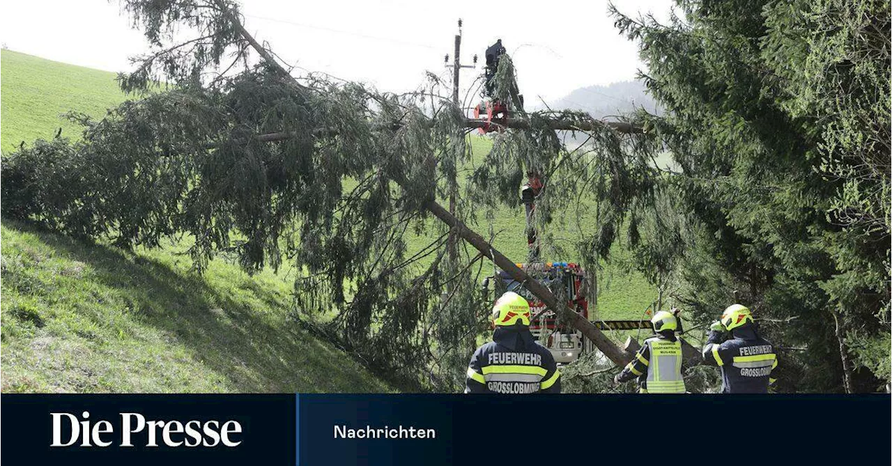 Ehepaar durch umstürzenden Baum in der Steiermark getötet