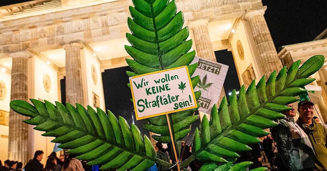 La Germania legalizza la cannabis, festa in piazza a Berlino