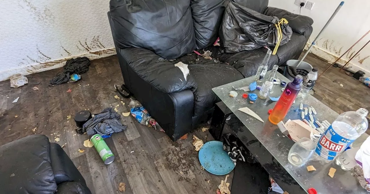 Inside flat of horrors where XL Bully was left to die