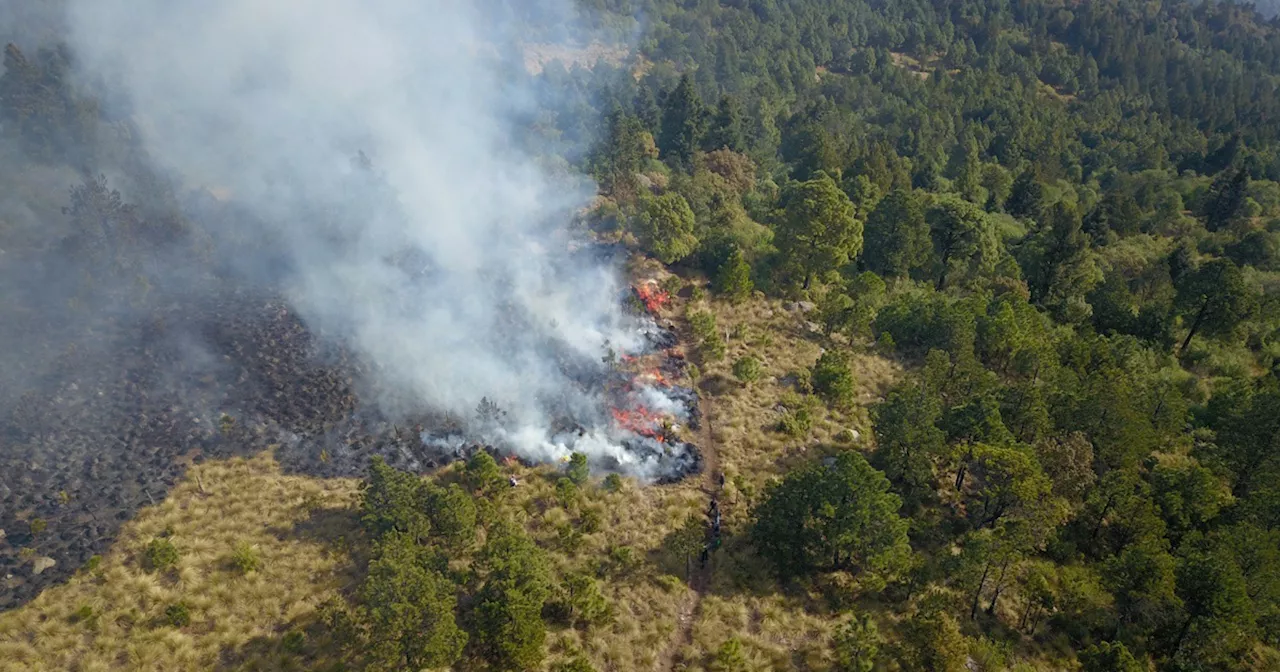 Gobierno del Estado de México sofoca incendios forestales; despliega helicópteros, drones y brigadas