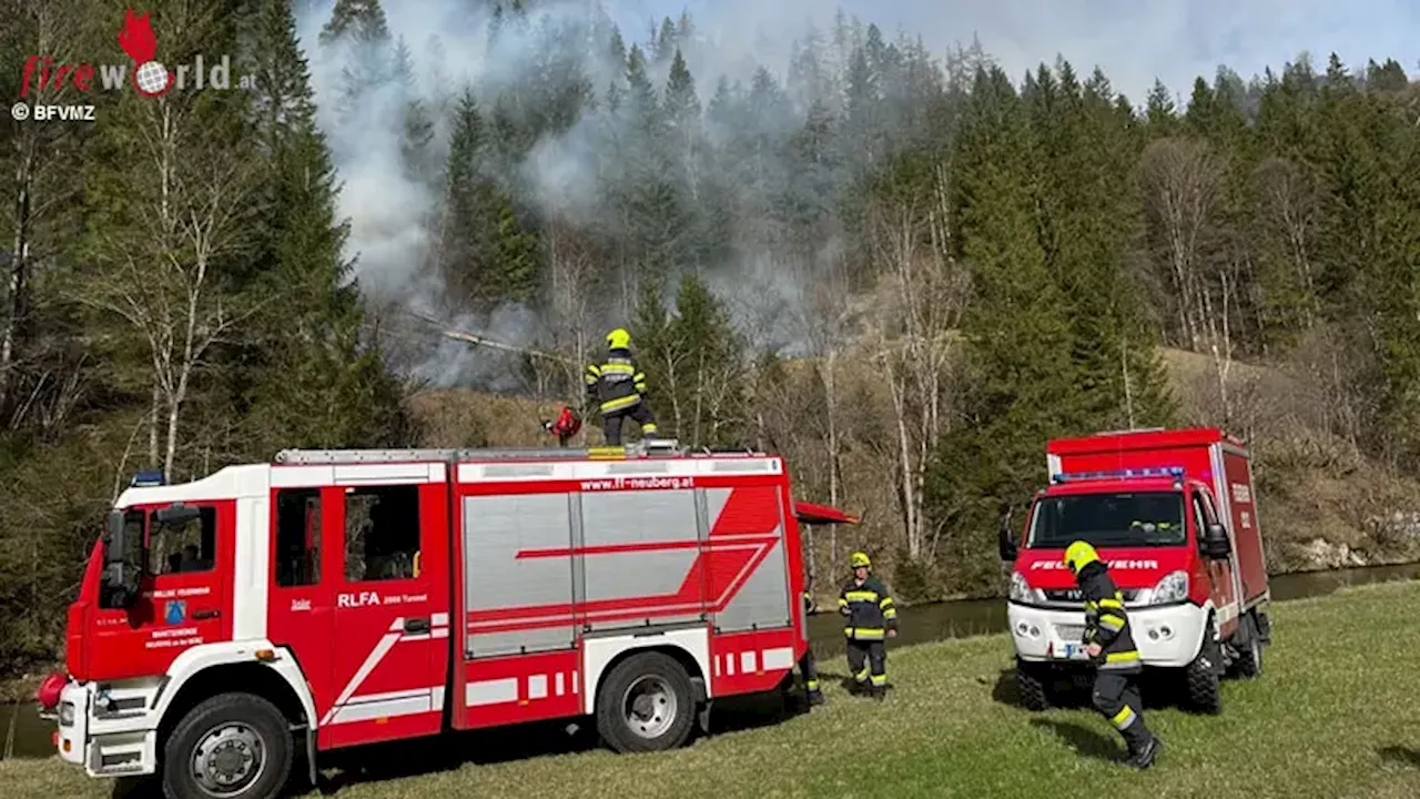 Feuerwehren bekämpfen Waldbrand in Mürzzuschlag