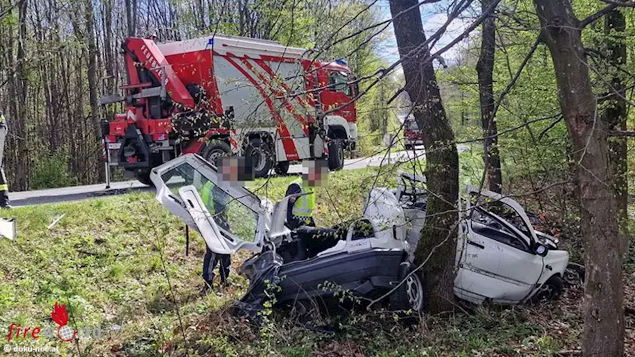 Nö: Auto bei St. Andrä-Wördern an Baum zerschellt → 20-Jähriger tödlich verletzt