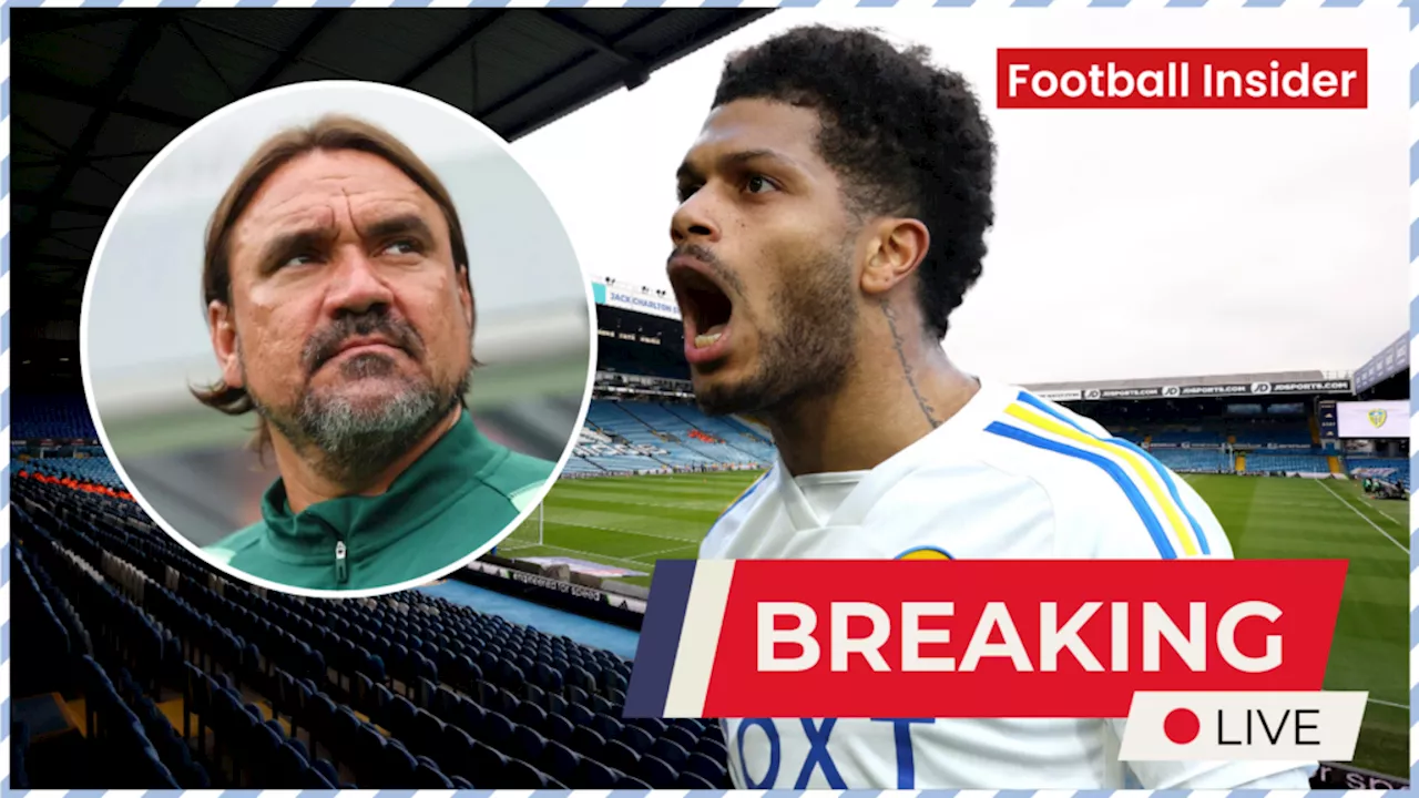 Leeds United could be forced to accept Georginio Rutter offer
